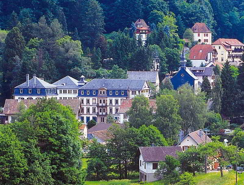 Le Grand Hotel Du Hohwald By Popinns Екстериор снимка