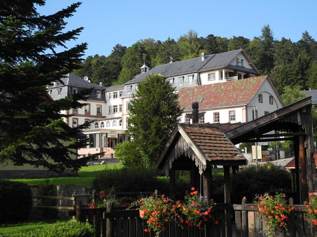 Le Grand Hotel Du Hohwald By Popinns Екстериор снимка